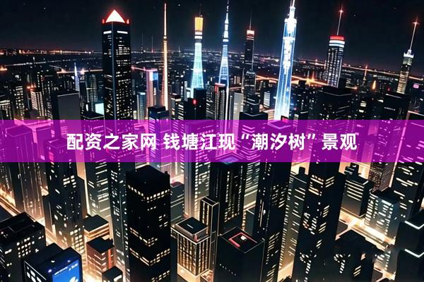 配资之家网 钱塘江现“潮汐树”景观